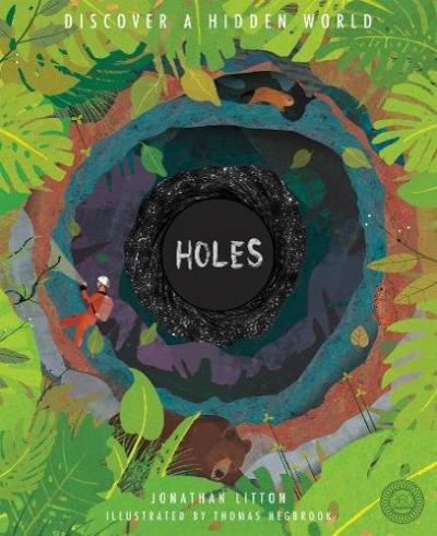 Book Cover - Holes