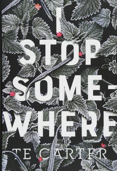 Book Cover - I Stop Somewhere