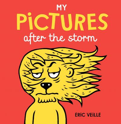 Book Cover - My Pictures After The Storm