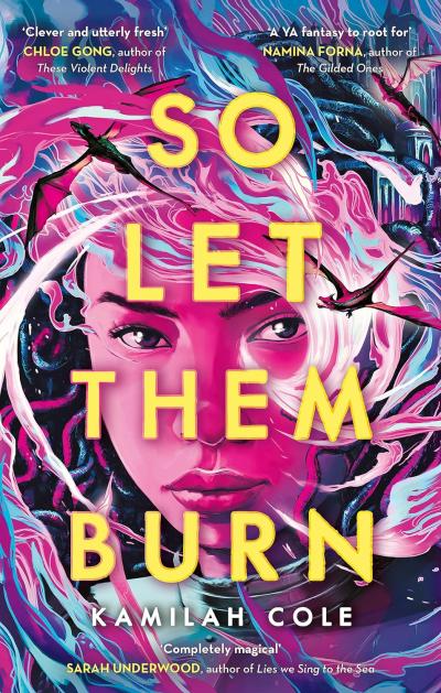 Book Cover – So Let them Burn