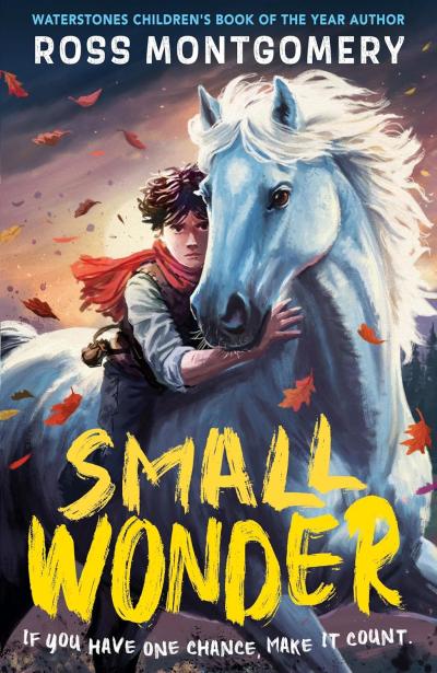 Book Cover – Small Wonder